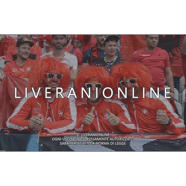 UEFA Francia EURO 2016 Final Tournament Group Stage A Lens - 11.06.2016 Albania-Svizzera Nella Foto:tifosi svizzera /Ph.Vitez-Ag. Aldo Liverani