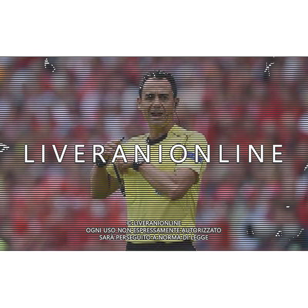 UEFA Francia EURO 2016 Final Tournament Group Stage A Lens - 11.06.2016 Albania-Svizzera Nella Foto:velasco carballo /Ph.Vitez-Ag. Aldo Liverani