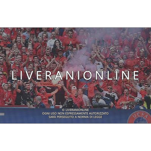 UEFA Francia EURO 2016 Final Tournament Group Stage A Lens - 11.06.2016 Albania-Svizzera Nella Foto:fumogeni dei tifosi albanesi /Ph.Vitez-Ag. Aldo Liverani