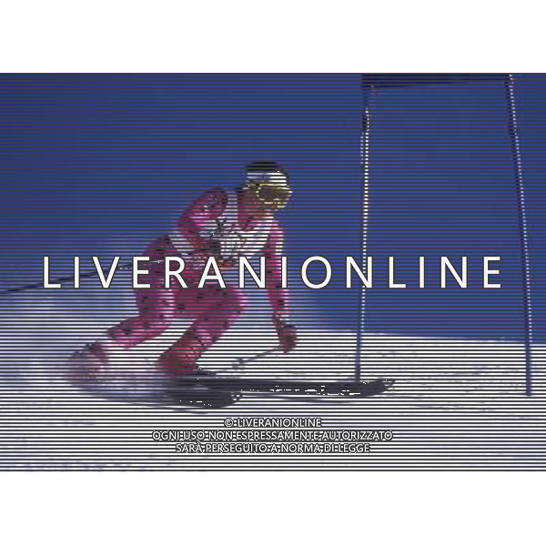 RETROSPETTIVA DEBORAH COMPAGNONI SCI NELLA FOTO DEBORAH COMPAGNONI AG ALDO LIVERANI SAS