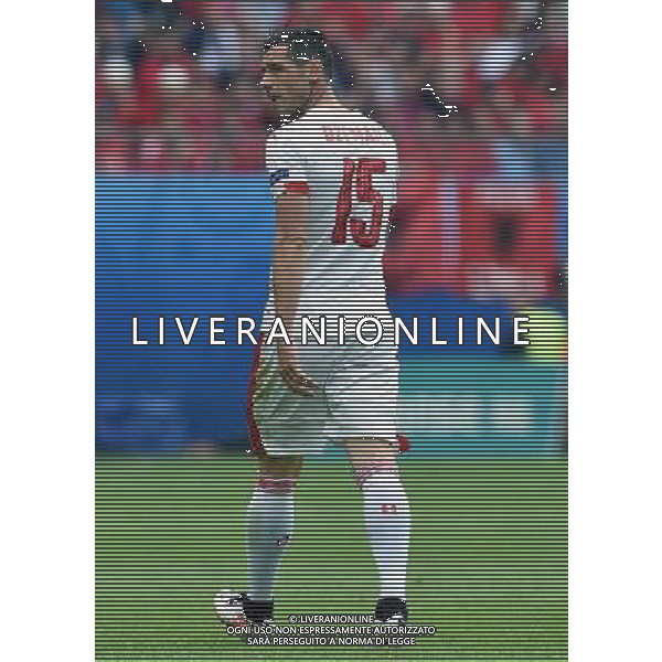 UEFA Francia EURO 2016 Final Tournament Group Stage A Lens - 11.06.2016 Albania-Svizzera Nella Foto:Dzemaili Blerim /Ph.Vitez-Ag. Aldo Liverani