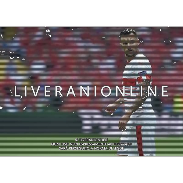 UEFA Francia EURO 2016 Final Tournament Group Stage A Lens - 11.06.2016 Albania-Svizzera Nella Foto:Seferovic Haris /Ph.Vitez-Ag. Aldo Liverani