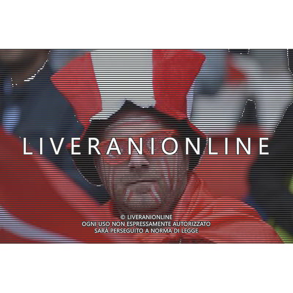 UEFA Francia EURO 2016 Final Tournament Group Stage D Parigi - 12.06.2016 Turchia-Croazia Nella Foto:tifosi turchia /Ph.Vitez-Ag. Aldo Liverani