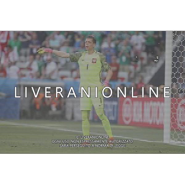 NICEA 2016.06.12 MISTRZOSTWA EUROPY EURO 2016 FRANCJA PILKA NOZNA POLSKA - IRLANDIA POLNOCNA MECZ NZ WOJCIECH SZCZESNY POLSKA FOT MICHAL STAWOWIAK / FOKUSMEDIA / NEWSPIX.PL --- Newspix.pl / AGENZIA ALDO LIVERANI SAS - ITALY ONLY EDITORIAL USE ONLY / AGENZIA ALDO LIVERANI SAS - ITALY ONLY EDITORIAL USE ONLY - Polonia - Irlanda del Nord UEFA Francia EURO 2016 Final Tournament Group Stage C Nizza - 12.06.2016