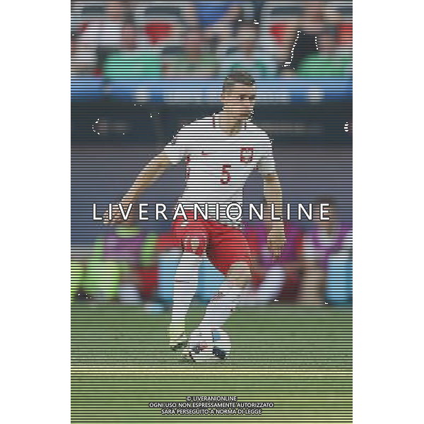 NICEA 2016.06.12 MISTRZOSTWA EUROPY EURO 2016 FRANCJA PILKA NOZNA POLSKA - IRLANDIA POLNOCNA MECZ NZ KRZYSZTOF MACZYNSKI POLSKA FOT MICHAL STAWOWIAK / FOKUSMEDIA / NEWSPIX.PL --- Newspix.pl / AGENZIA ALDO LIVERANI SAS - ITALY ONLY EDITORIAL USE ONLY - Polonia - Irlanda del Nord UEFA Francia EURO 2016 Final Tournament Group Stage C Nizza - 12.06.2016