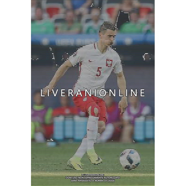 NICEA 2016.06.12 MISTRZOSTWA EUROPY EURO 2016 FRANCJA PILKA NOZNA POLSKA - IRLANDIA POLNOCNA MECZ NZ KRZYSZTOF MACZYNSKI POLSKA FOT MICHAL STAWOWIAK / FOKUSMEDIA / NEWSPIX.PL --- Newspix.pl / AGENZIA ALDO LIVERANI SAS - ITALY ONLY EDITORIAL USE ONLY - Polonia - Irlanda del Nord UEFA Francia EURO 2016 Final Tournament Group Stage C Nizza - 12.06.2016