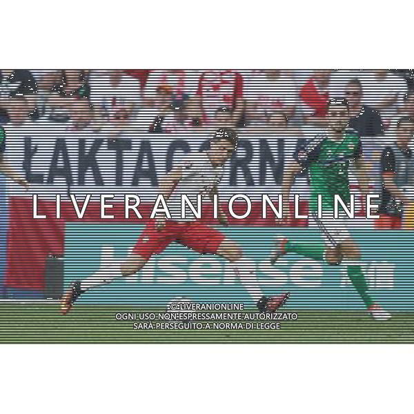 NICEA 2016.06.12 MISTRZOSTWA EUROPY EURO 2016 FRANCJA PILKA NOZNA POLSKA - IRLANDIA POLNOCNA MECZ NZ BARTOSZ KAPUSTKA POLSKA FOT MICHAL STAWOWIAK / FOKUSMEDIA / NEWSPIX.PL --- Newspix.pl / AGENZIA ALDO LIVERANI SAS - ITALY ONLY EDITORIAL USE ONLY - Polonia - Irlanda del Nord UEFA Francia EURO 2016 Final Tournament Group Stage C Nizza - 12.06.2016