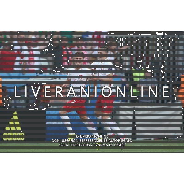 NICEA 12.06.2016 MECZ I RUNDA GRUPA C MISTRZOSTW EUROPY 2016: POLSKA - IRLANDIA POLNOCNA --- FIRST ROUND GROUP C UEFA EURO 2016 MATCH IN NICE: POLAND - NORTHERN IRELAND ARKADIUSZ MILIK ARTUR JEDRZEJCZYK - ESULTANZA DOPO IL GOL FOT. PIOTR KUCZA/NEWSPIX.PL --- Newspix.pl / AGENZIA ALDO LIVERANI SAS - ITALY ONLY EDITORIAL USE ONLY - Polonia - Irlanda del Nord UEFA Francia EURO 2016 Final Tournament Group Stage C Nizza - 12.06.2016