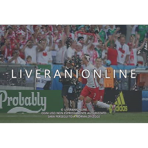 NICEA 12.06.2016 MECZ I RUNDA GRUPA C MISTRZOSTW EUROPY 2016: POLSKA - IRLANDIA POLNOCNA --- FIRST ROUND GROUP C UEFA EURO 2016 MATCH IN NICE: POLAND - NORTHERN IRELAND ARKADIUSZ MILIK ARTUR JEDRZEJCZYK - ESULTANZA DOPO IL GOL FOT. PIOTR KUCZA/NEWSPIX.PL --- Newspix.pl / AGENZIA ALDO LIVERANI SAS - ITALY ONLY EDITORIAL USE ONLY - Polonia - Irlanda del Nord UEFA Francia EURO 2016 Final Tournament Group Stage C Nizza - 12.06.2016