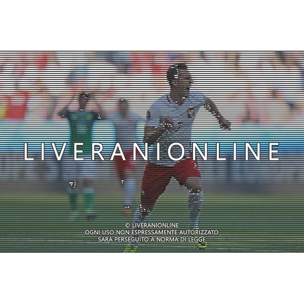 12.06.2016 NICEA, FRANCJA (NICE, FRANCE) PILKA NOZNA (FOOTBALL) UEFA EURO 2016 MISTRZOSTWA EUROPY W PILCE NOZNEJ (UEFA EURO 2016) GRUPA C (GROUP C) MECZ POLSKA - IRLANDIA POLNOCNA (GAME POLAND - NORTHERN IRELAND) NZ POLSKA RADOSC, BRAMKA, GOL, ARTUR JEDRZEJCZYK, ARKADIUSZ MILIK - ESULTANZA DOPO IL GOL FOTO LUKASZ GROCHALA/CYFRASPORT / NEWSPIX.PL --- Newspix.pl / AGENZIA ALDO LIVERANI SAS - ITALY ONLY EDITORIAL USE ONLY - Polonia - Irlanda del Nord UEFA Francia EURO 2016 Final Tournament Group Stage C Nizza - 12.06.2016