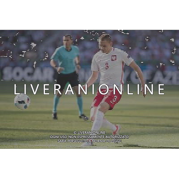 2016.06.12 NICEA PILKA NOZNA I RUNDA GRUPA C MISTRZOSTW EUROPY 2016 POLSKA - IRLANDIA POLNOCNA FIRST ROUND GROUP C UEFA EURO 2016 MATCH IN NICE POLAND - NORTHERN IRELAND N/z ARTUR JEDRZEJCZYK Foto PressFocus / NEWSPIX.PL --- Newspix.pl / AGENZIA ALDO LIVERANI SAS - ITALY ONLY EDITORIAL USE ONLY - Polonia - Irlanda del Nord UEFA Francia EURO 2016 Final Tournament Group Stage C Nizza - 12.06.2016
