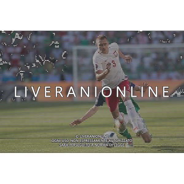 2016.06.12 NICEA PILKA NOZNA I RUNDA GRUPA C MISTRZOSTW EUROPY 2016 POLSKA - IRLANDIA POLNOCNA FIRST ROUND GROUP C UEFA EURO 2016 MATCH IN NICE POLAND - NORTHERN IRELAND N/z ARTUR JEDRZEJCZYK Foto PressFocus / NEWSPIX.PL --- Newspix.pl / AGENZIA ALDO LIVERANI SAS - ITALY ONLY EDITORIAL USE ONLY - Polonia - Irlanda del Nord UEFA Francia EURO 2016 Final Tournament Group Stage C Nizza - 12.06.2016