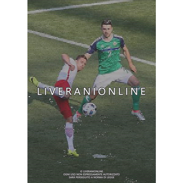 12.06.2016, Nicea, pilka nozna, mistrzostwa Europy w pilce noznej, UEFA EURO 2016, Polska - Irlandia Polnocna, Arkadiusz Milik (POL), Conor McLaughlin (NIR), Poland - Northern Ireland, European Football Championship, fot. Tomasz Jastrzebowski / Foto Olimpik / NEWSPIX.PL --- Newspix.pl / AGENZIA ALDO LIVERANI SAS - ITALY ONLY EDITORIAL USE ONLY - Polonia - Irlanda del Nord UEFA Francia EURO 2016 Final Tournament Group Stage C Nizza - 12.06.2016