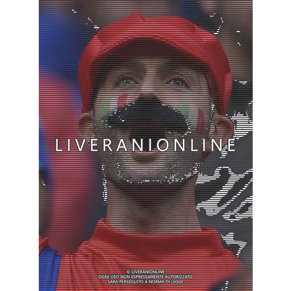 UEFA Francia EURO 2016 Final Tournament Group Stage E Lione - 13.06.2016 Belgio-Italia Nella Foto:tifosi italia /Ph.Vitez-Ag. Aldo Liverani