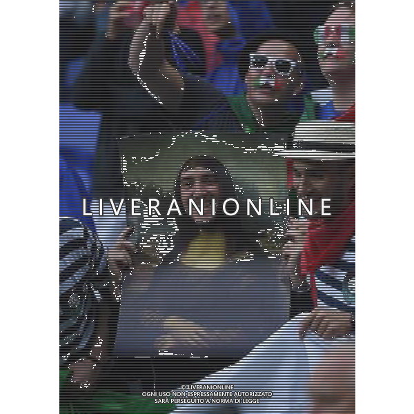 UEFA Francia EURO 2016 Final Tournament Group Stage E Lione - 13.06.2016 Belgio-Italia Nella Foto:tifosi italia /Ph.Vitez-Ag. Aldo Liverani