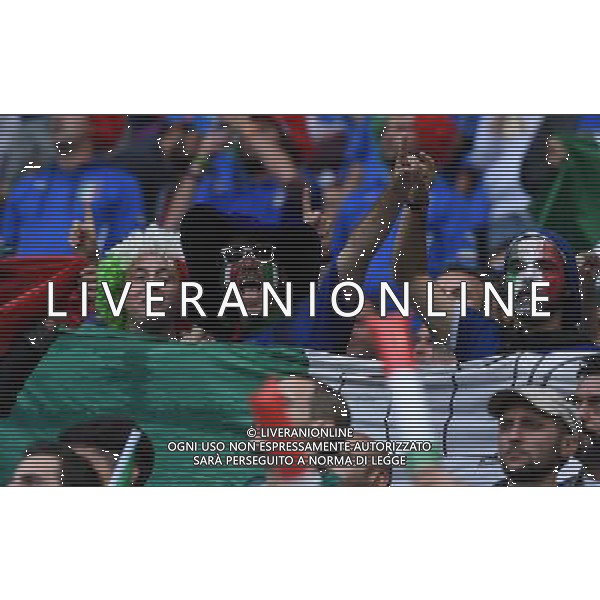 UEFA Francia EURO 2016 Final Tournament Group Stage E Lione - 13.06.2016 Belgio-Italia Nella Foto:tifosi italia /Ph.Vitez-Ag. Aldo Liverani