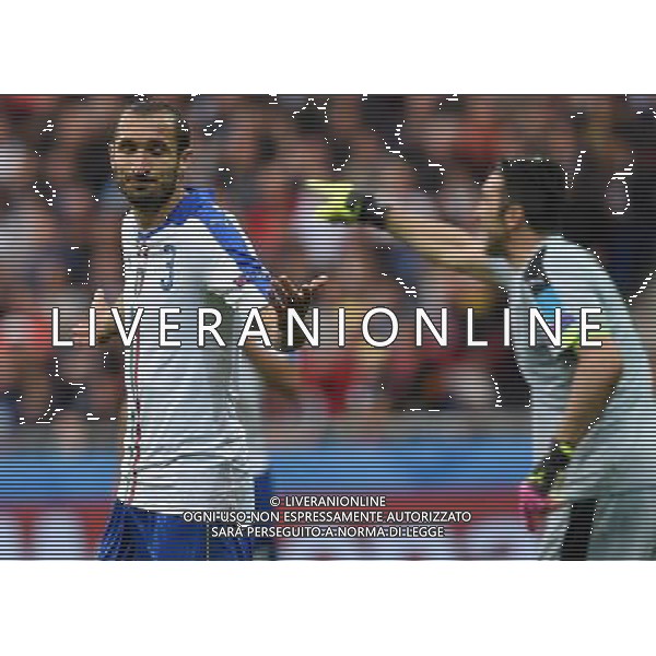 UEFA Francia EURO 2016 Final Tournament Group Stage E Lione - 13.06.2016 Belgio-Italia Nella Foto:chiellini giorgio /Ph.Vitez-Ag. Aldo Liverani