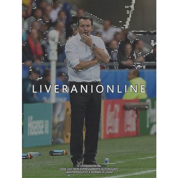 UEFA Francia EURO 2016 Final Tournament Group Stage E Lione - 13.06.2016 Belgio-Italia Nella Foto:wilmots marc /Ph.Vitez-Ag. Aldo Liverani