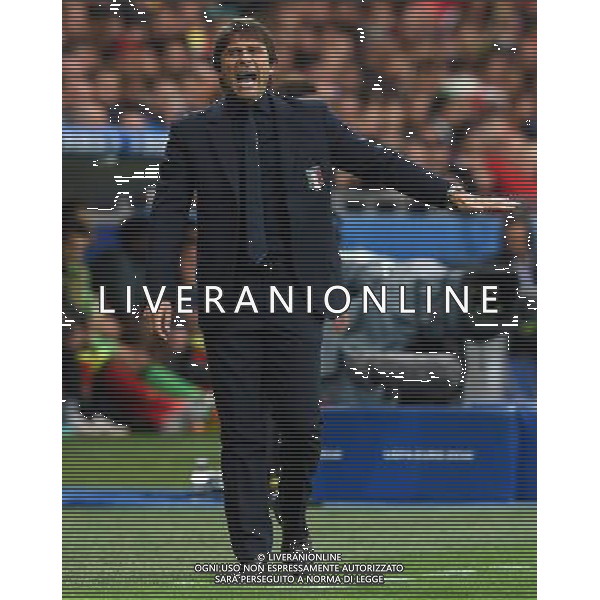 UEFA Francia EURO 2016 Final Tournament Group Stage E Lione - 13.06.2016 Belgio-Italia Nella Foto:conte antonio /Ph.Vitez-Ag. Aldo Liverani
