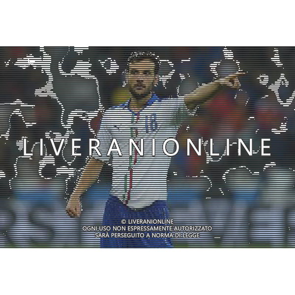 UEFA Francia EURO 2016 Final Tournament Group Stage E Lione - 13.06.2016 Belgio-Italia Nella Foto:parolo andrea /Ph.Vitez-Ag. Aldo Liverani