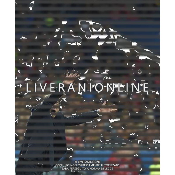 UEFA Francia EURO 2016 Final Tournament Group Stage E Lione - 13.06.2016 Belgio-Italia Nella Foto:conte antonio /Ph.Vitez-Ag. Aldo Liverani