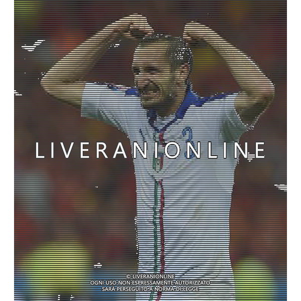 UEFA Francia EURO 2016 Final Tournament Group Stage E Lione - 13.06.2016 Belgio-Italia Nella Foto: giorgio chiellini esulta dopo il gol di pelle\' /Ph.Vitez-Ag. Aldo Liverani