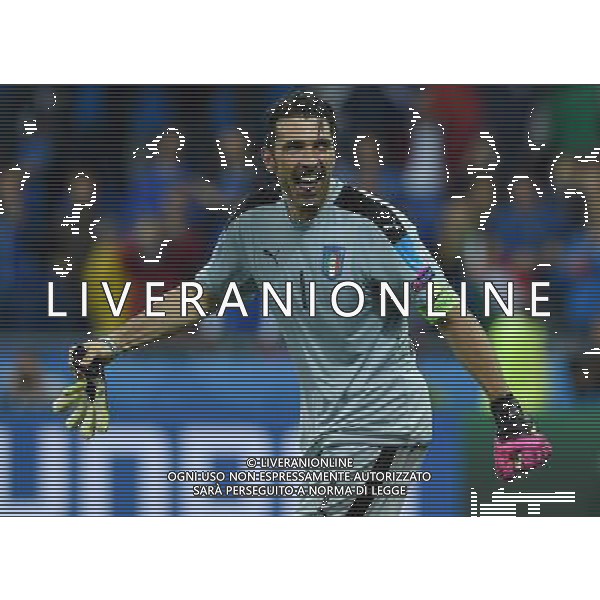 UEFA Francia EURO 2016 Final Tournament Group Stage E Lione - 13.06.2016 Belgio-Italia Nella Foto: gianluigi buffon esultanza a fine gara /Ph.Vitez-Ag. Aldo Liverani