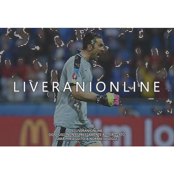 UEFA Francia EURO 2016 Final Tournament Group Stage E Lione - 13.06.2016 Belgio-Italia Nella Foto:Buffon Gianluigi /Ph.Vitez-Ag. Aldo Liverani