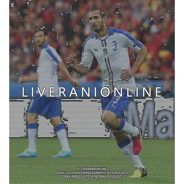 UEFA Francia EURO 2016 Final Tournament Group Stage E Lione - 13.06.2016 Belgio-Italia Nella Foto:Chiellini Giorgio /Ph.Vitez-Ag. Aldo Liverani