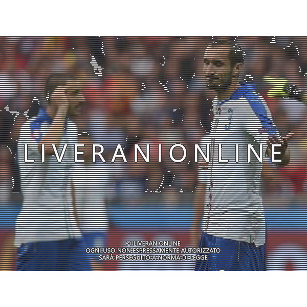 UEFA Francia EURO 2016 Final Tournament Group Stage E Lione - 13.06.2016 Belgio-Italia Nella Foto:Chiellini Giorgio /Ph.Vitez-Ag. Aldo Liverani