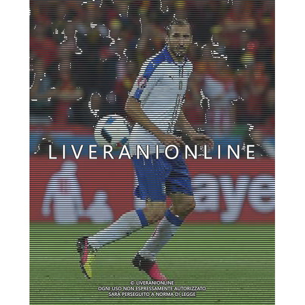 UEFA Francia EURO 2016 Final Tournament Group Stage E Lione - 13.06.2016 Belgio-Italia Nella Foto:Chiellini Giorgio /Ph.Vitez-Ag. Aldo Liverani