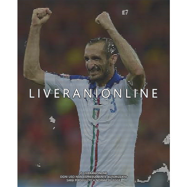 UEFA Francia EURO 2016 Final Tournament Group Stage E Lione - 13.06.2016 Belgio-Italia Nella Foto:Chiellini Giorgio /Ph.Vitez-Ag. Aldo Liverani