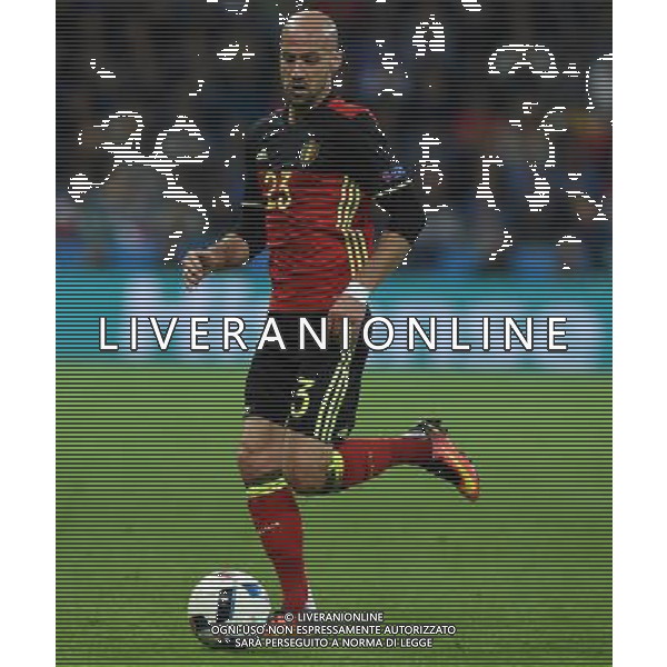 UEFA Francia EURO 2016 Final Tournament Group Stage E Lione - 13.06.2016 Belgio-Italia Nella Foto:Ciman Laurent /Ph.Vitez-Ag. Aldo Liverani