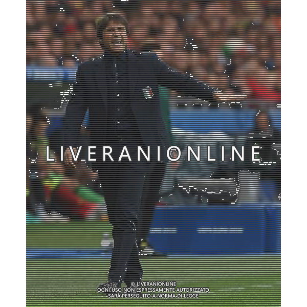 UEFA Francia EURO 2016 Final Tournament Group Stage E Lione - 13.06.2016 Belgio-Italia Nella Foto:Conte Antonio /Ph.Vitez-Ag. Aldo Liverani