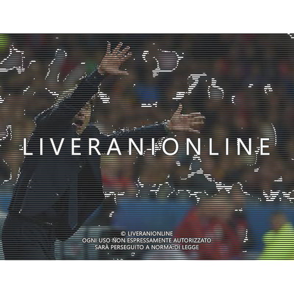 UEFA Francia EURO 2016 Final Tournament Group Stage E Lione - 13.06.2016 Belgio-Italia Nella Foto:Conte Antonio /Ph.Vitez-Ag. Aldo Liverani