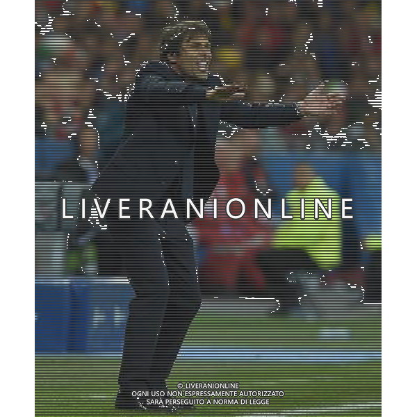 UEFA Francia EURO 2016 Final Tournament Group Stage E Lione - 13.06.2016 Belgio-Italia Nella Foto:Conte Antonio /Ph.Vitez-Ag. Aldo Liverani