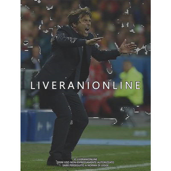 UEFA Francia EURO 2016 Final Tournament Group Stage E Lione - 13.06.2016 Belgio-Italia Nella Foto:Conte Antonio /Ph.Vitez-Ag. Aldo Liverani