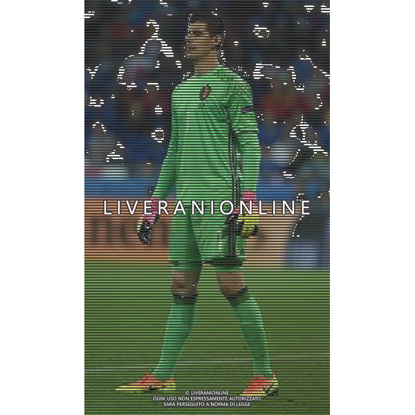 UEFA Francia EURO 2016 Final Tournament Group Stage E Lione - 13.06.2016 Belgio-Italia Nella Foto:Courtois Thibaut /Ph.Vitez-Ag. Aldo Liverani
