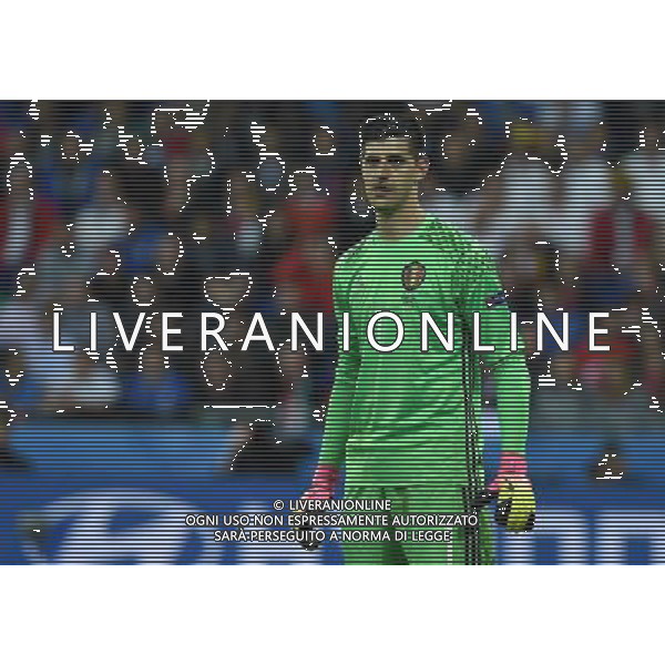 UEFA Francia EURO 2016 Final Tournament Group Stage E Lione - 13.06.2016 Belgio-Italia Nella Foto:Courtois Thibaut /Ph.Vitez-Ag. Aldo Liverani