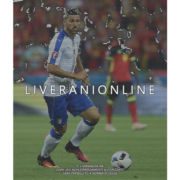 UEFA Francia EURO 2016 Final Tournament Group Stage E Lione - 13.06.2016 Belgio-Italia Nella Foto:Pelle\' Graziano /Ph.Vitez-Ag. Aldo Liverani