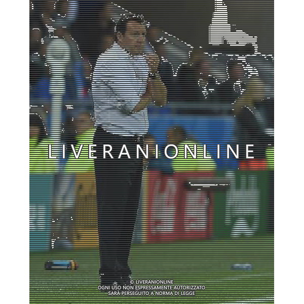 UEFA Francia EURO 2016 Final Tournament Group Stage E Lione - 13.06.2016 Belgio-Italia Nella Foto:Wilmots Marc /Ph.Vitez-Ag. Aldo Liverani