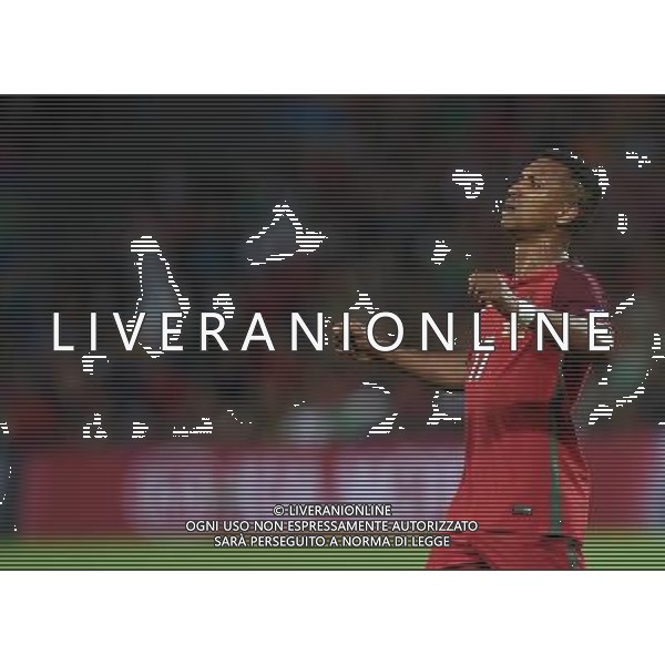 UEFA Francia EURO 2016 Final Tournament Group Stage F Saint-Etienne - 14.06.2016 Portogallo-Islanda Nella Foto:delusione nani /Ph.Vitez-Ag. Aldo Liverani