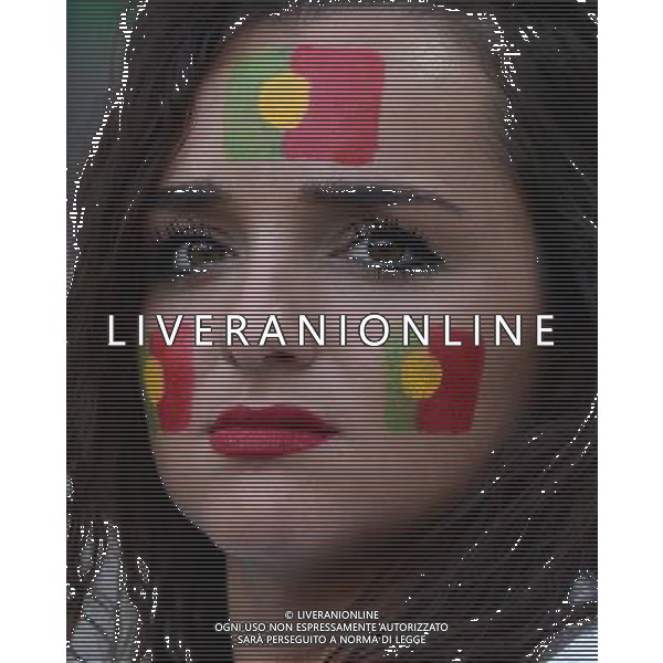 UEFA Francia EURO 2016 Final Tournament Group Stage F Saint-Etienne - 14.06.2016 Portogallo-Islanda Nella Foto:tifosi portogallo /Ph.Vitez-Ag. Aldo Liverani