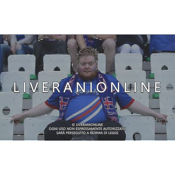 UEFA Francia EURO 2016 Final Tournament Group Stage F Saint-Etienne - 14.06.2016 Portogallo-Islanda Nella Foto:tifosi islanda /Ph.Vitez-Ag. Aldo Liverani