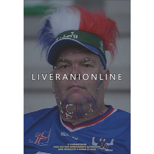 UEFA Francia EURO 2016 Final Tournament Group Stage F Saint-Etienne - 14.06.2016 Portogallo-Islanda Nella Foto:tifosi islanda /Ph.Vitez-Ag. Aldo Liverani