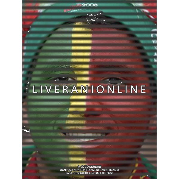 UEFA Francia EURO 2016 Final Tournament Group Stage F Saint-Etienne - 14.06.2016 Portogallo-Islanda Nella Foto:tifosi portogallo /Ph.Vitez-Ag. Aldo Liverani