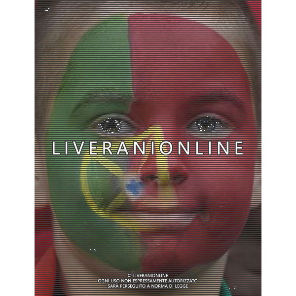 UEFA Francia EURO 2016 Final Tournament Group Stage F Saint-Etienne - 14.06.2016 Portogallo-Islanda Nella Foto:tifosi portogallo /Ph.Vitez-Ag. Aldo Liverani