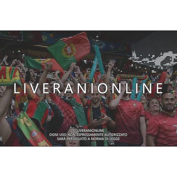 UEFA Francia EURO 2016 Final Tournament Group Stage F Saint-Etienne - 14.06.2016 Portogallo-Islanda Nella Foto:tifosi portogallo /Ph.Vitez-Ag. Aldo Liverani