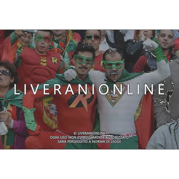 UEFA Francia EURO 2016 Final Tournament Group Stage F Saint-Etienne - 14.06.2016 Portogallo-Islanda Nella Foto:tifosi portogallo /Ph.Vitez-Ag. Aldo Liverani