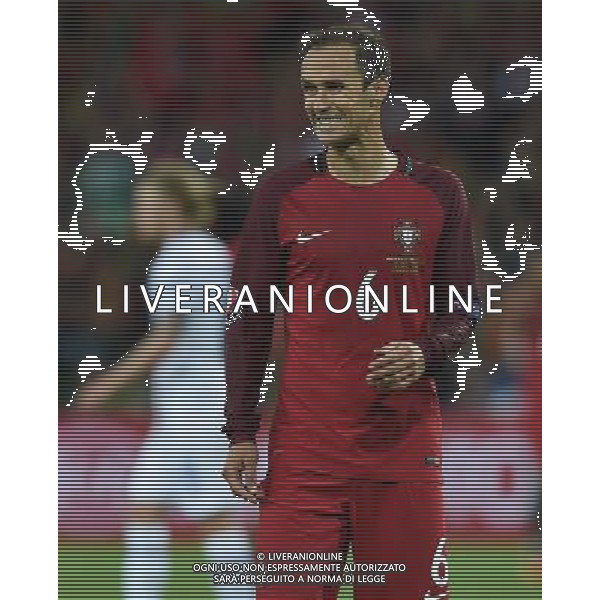 UEFA Francia EURO 2016 Final Tournament Group Stage F Saint-Etienne - 14.06.2016 Portogallo-Islanda Nella Foto:Carvalho Ricardo /Ph.Vitez-Ag. Aldo Liverani